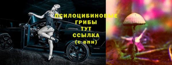 apvp Нязепетровск