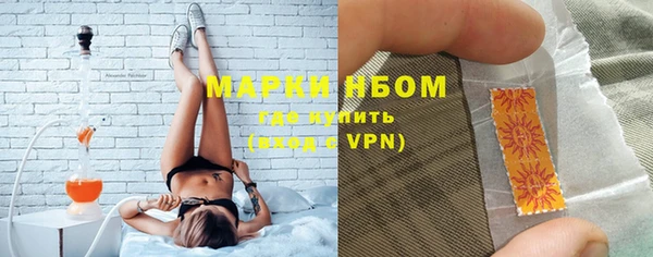 трава Осинники