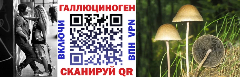 Купить  Усть-Катав  Галлюциногенные грибы прущие грибы 